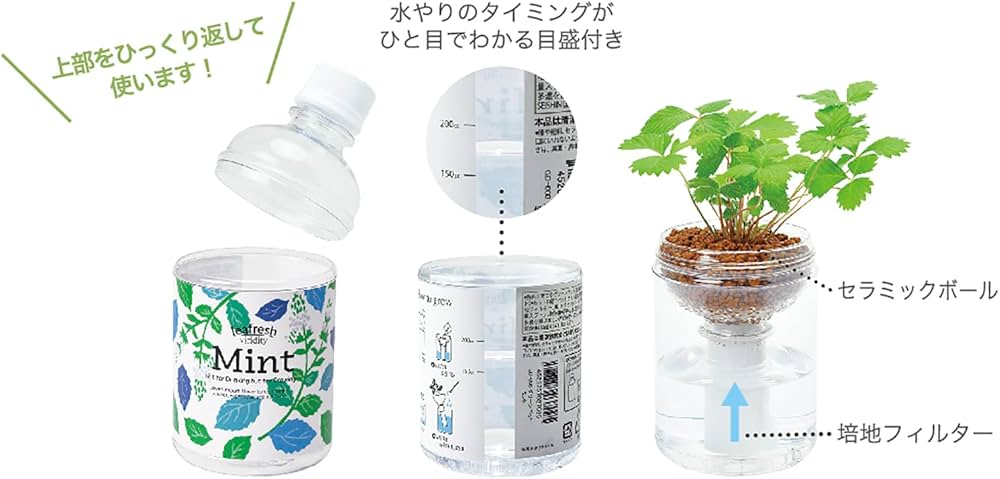 Amazon.co.jp: 聖新陶芸 家庭菜園 簡単 栽培キット ワイルド