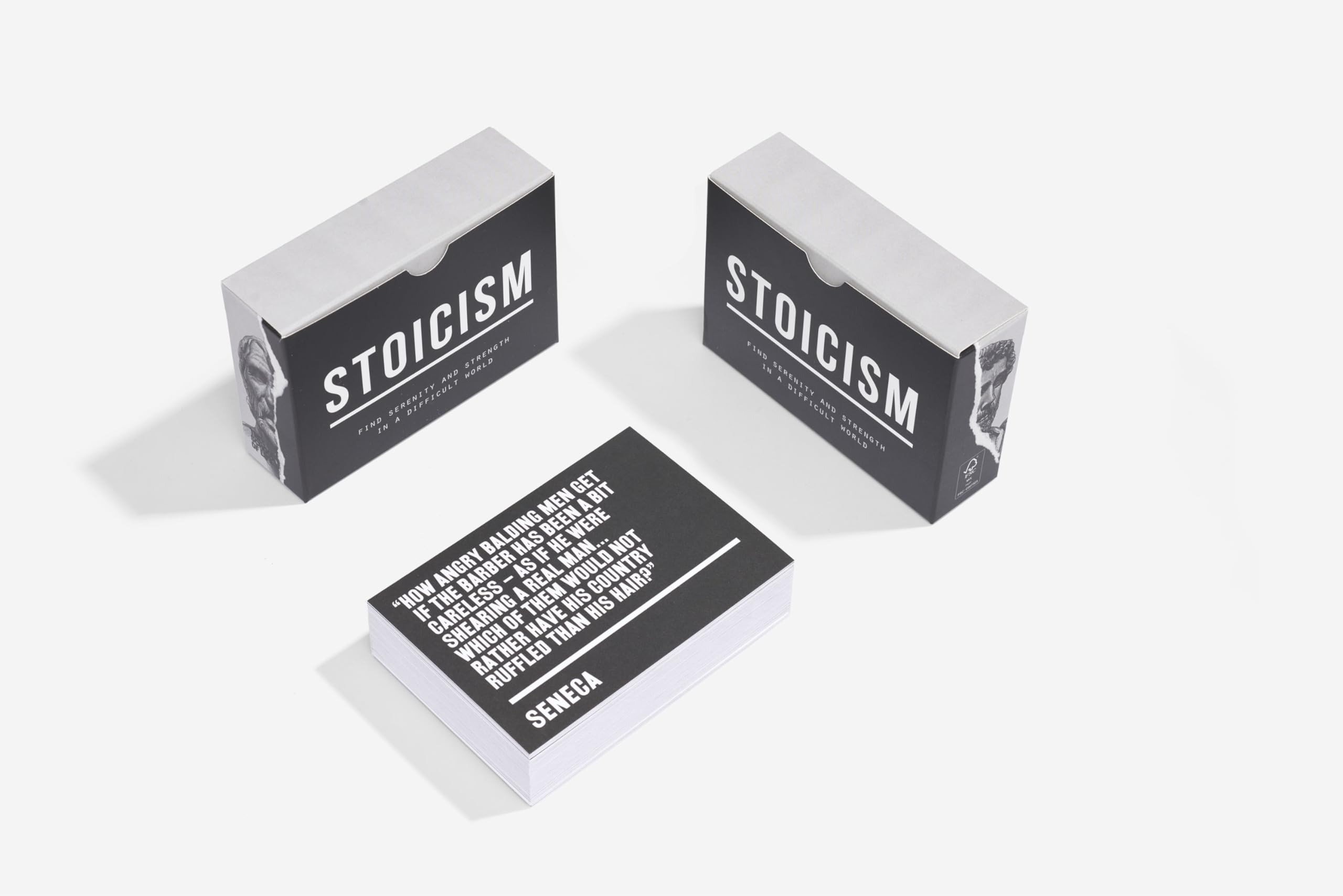 Stoicism: find serenity and strength in a difficult world