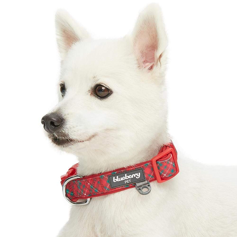 Blueberry Pet Essentials Halsband Für Hunde – Mittelgroß, Verstellbar, Robustes Nylon, In Grüngrün, Mit D-Ring, Für Tägliche Spaziergänge