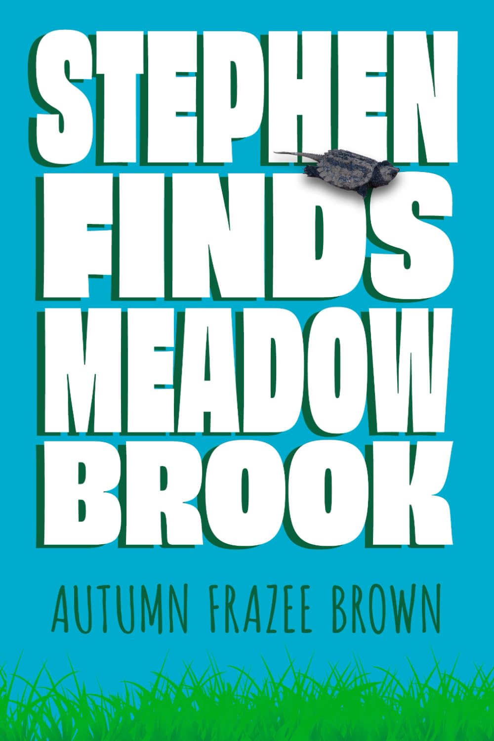Stephen Finds Meadow Brook