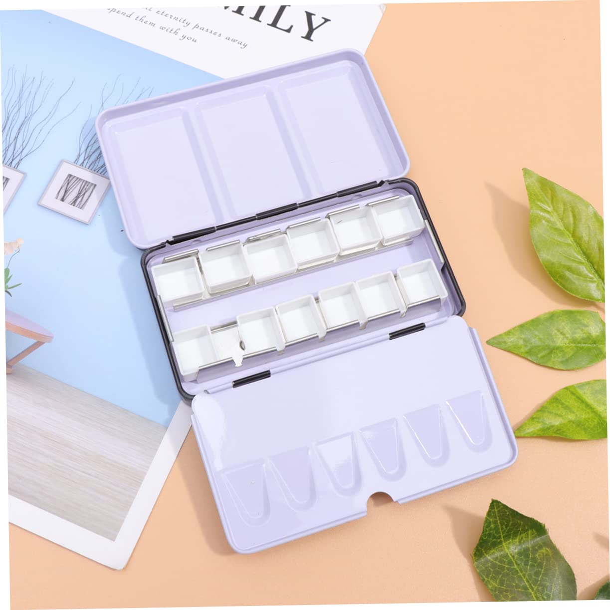 Ciieeo 3-teilige Boxen Aufbewahrungsbox Für Feste Pigmente Leerer Aquarellfarbenkoffer Mit 12 Fächern Für Profis Anfänger Und Reisende