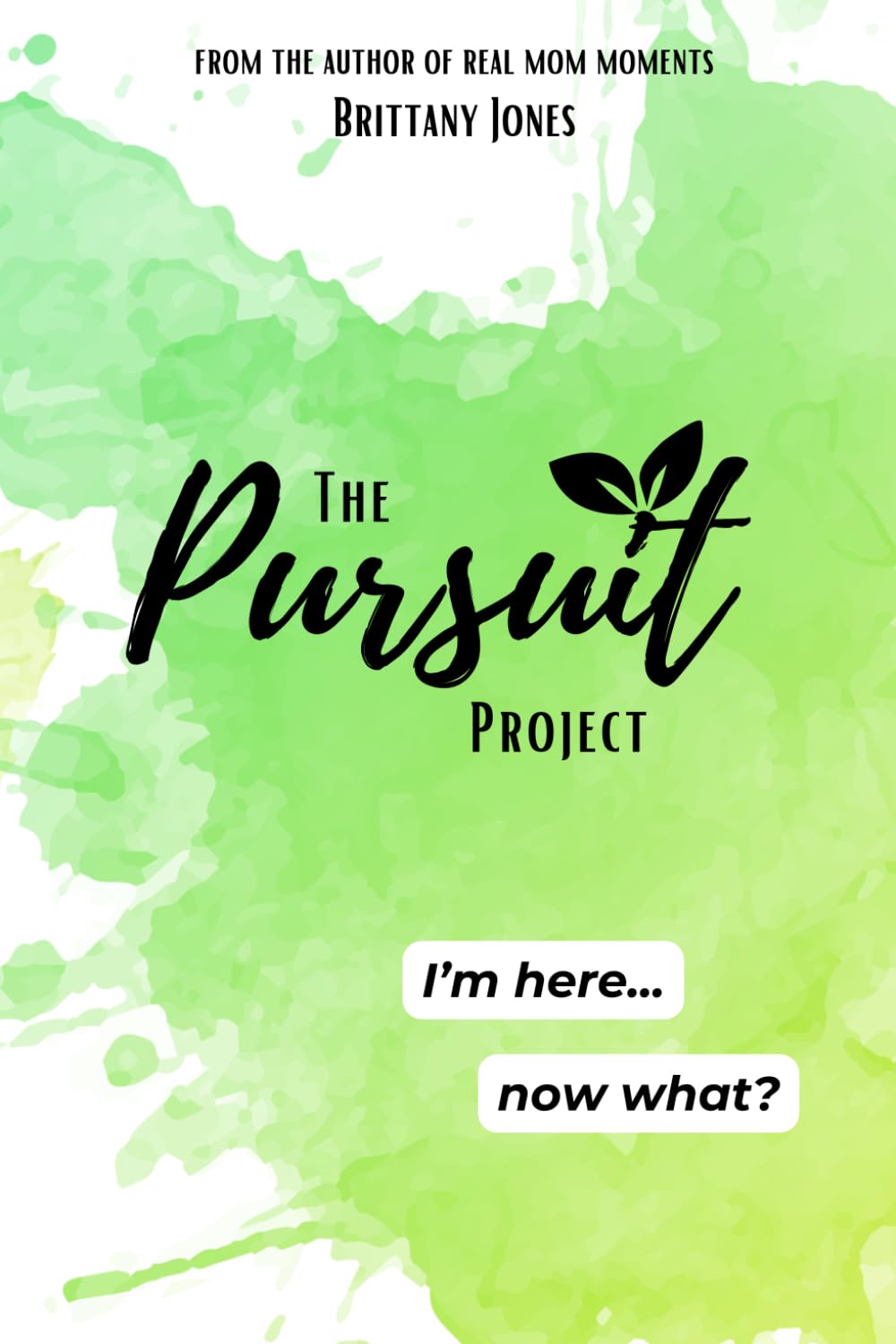 The Pursuit Project: I'm here, now what?
