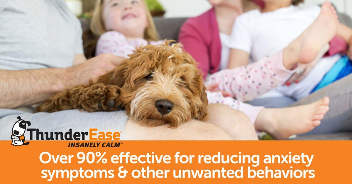 thunderease calming collar