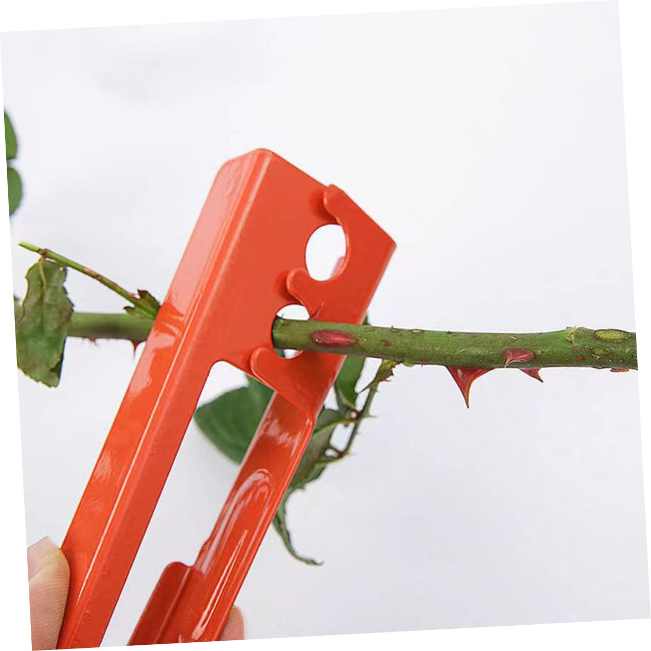 OFFSCH 4pcs Remover Thorn Rose Stripping Thorn Pliers Stripping Tool Rose Trimmer Metal Stem Tools Deburring Iron + Plastic Flower Cutter