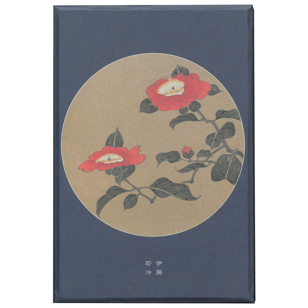 若冲画譜 大判画集 51EK7iZ9cwL.jpg