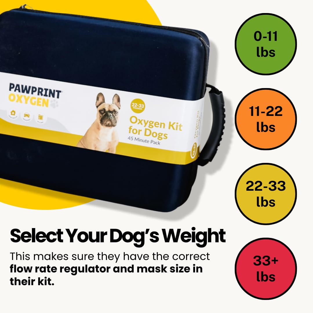 Dog Rescue Oxygen Kit - Portable Oxygen Supply for Pets for Transport and Rescue - Oxygen, Mask, Regulator, Tubing & Travel Case Included (5.0-10.0 kg)