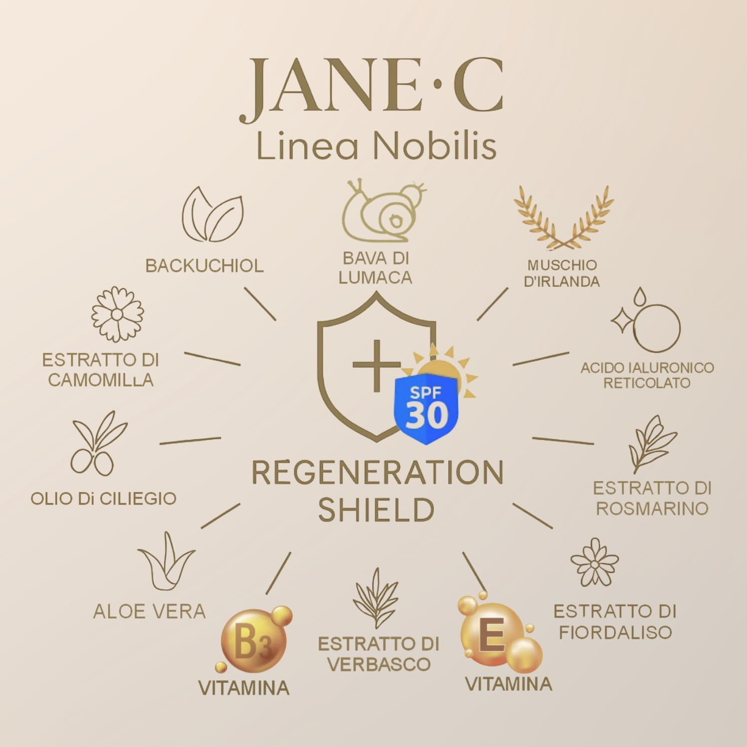 JANE•C Crema Viso Antirughe Effetto filler con SPF30 – Skincare Coreana Anti-Age con Retinolo Vegetale,Bava di Lumaca, Acido Ialuronico, Vitamina B3 – Idratante e Illuminante – 50ml Made in Italy