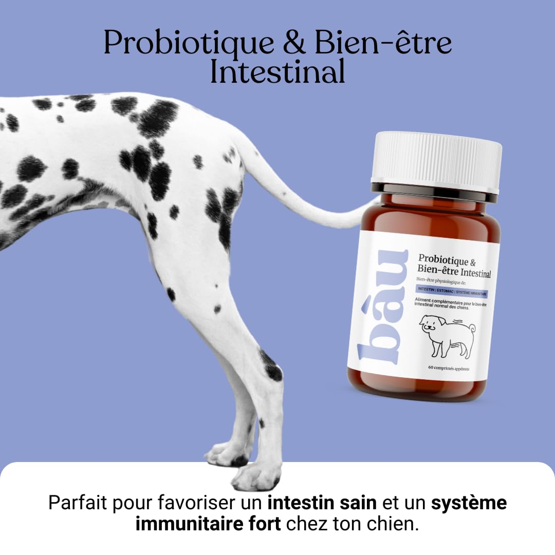 BAU Probiotiques pour Chien, Ferments Lactiques Canins, Soutien Gastro-Intestinal, Équilibre de la Flore Intestinale avec Ingrédients Naturels – 60 Comprimés