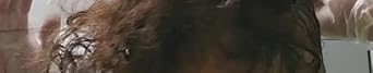 Video Widget Video Title Section