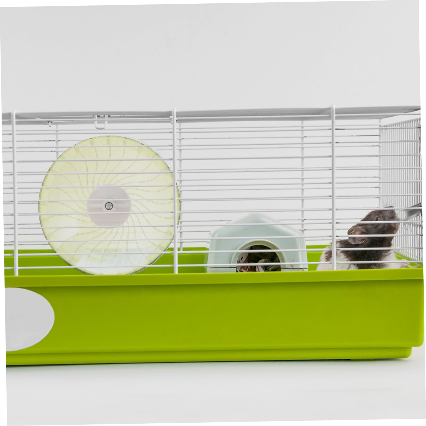 INOOMP 5pezzi Ruota Per Criceti Silenziosa Plastica Accessorio Per Esercizio Per Criceti Cincillà e Gerbilli Design Trasparente e Leggero Per Divertimento Senza Rumore e Maggiore