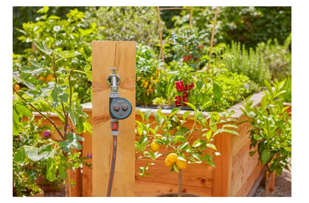 Gardena Water Control Easy Plus - Temporizador para riego de jardín, control automático con 69 programas, 0,8 – 10 bar, compatible con grifo G3/4 G1
