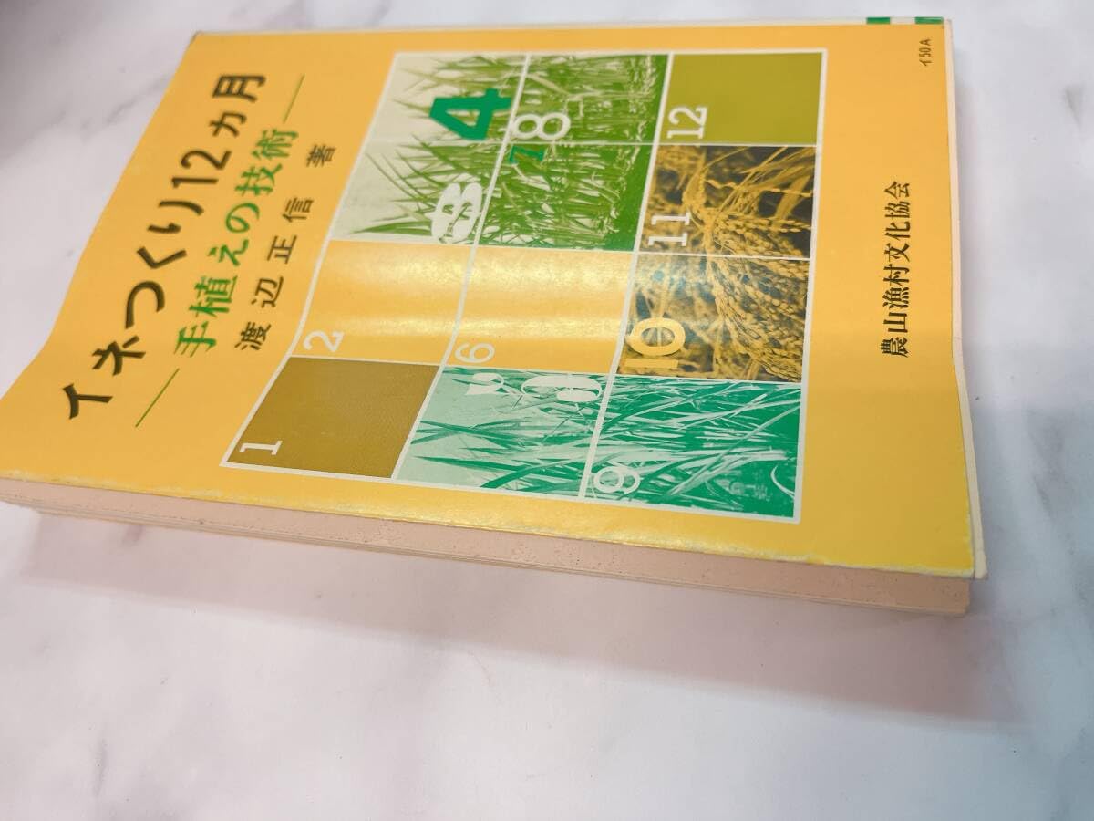 Amazon.co.jp: イネつくり12ヵ月 手植えの技術 渡辺正信 農山漁村文化  