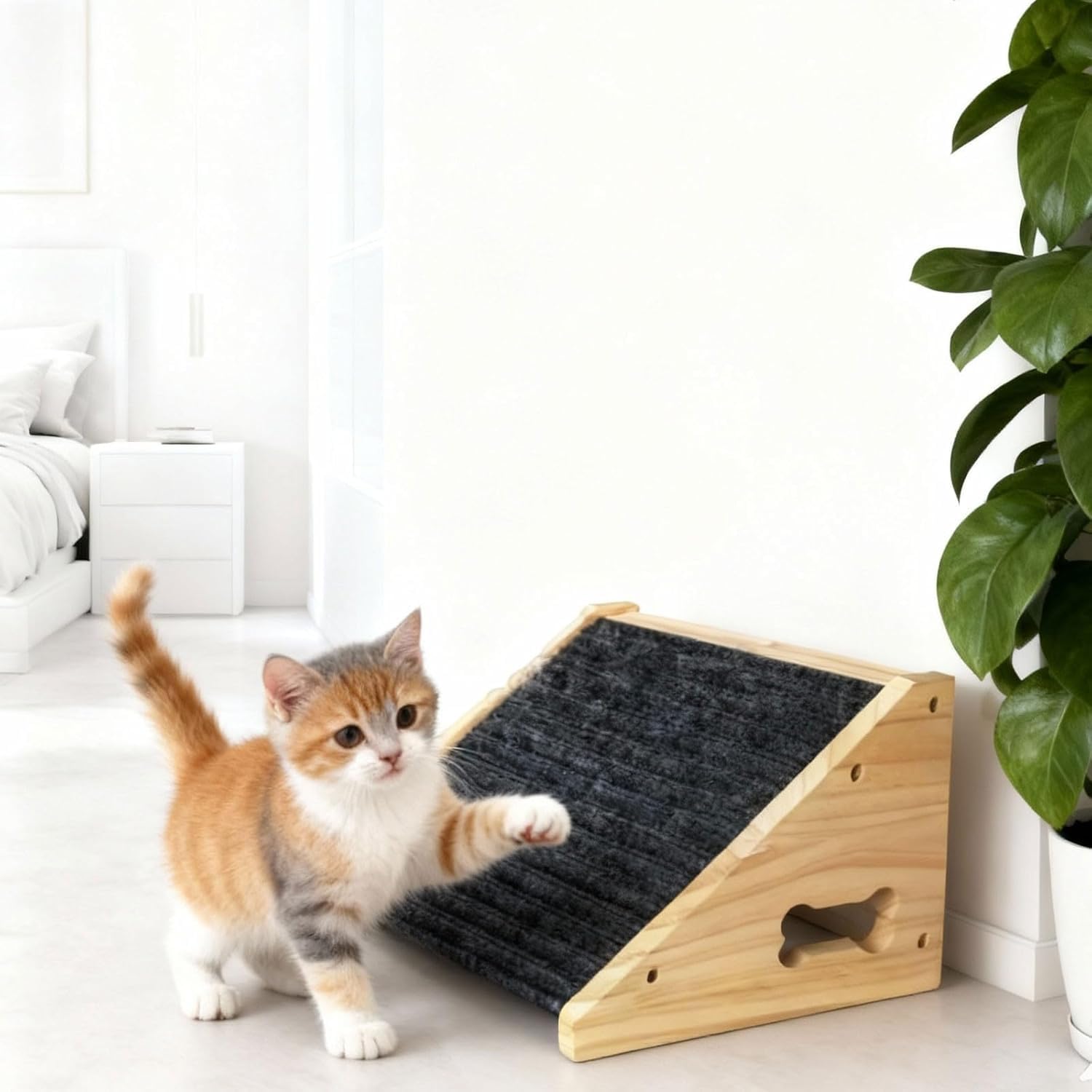 View 5