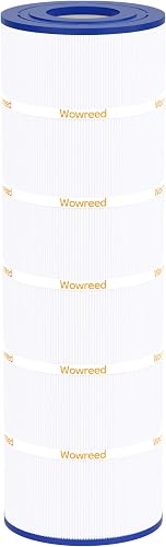 Pool Filter Compatible with C1900RE, Pro Clean 200, C-8420, FC-1211, PA190, 1 Pack