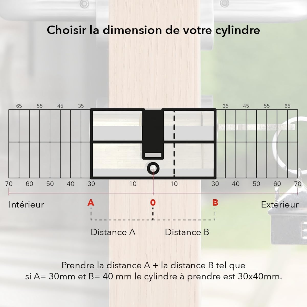 THIRARD Cylindre de serrure double, 40 x 60 mm, anti-arrachement, nickel | Finition nickelée, mécanisme double entrée, 3 clés fournies, sécurité renforcée, installation facile