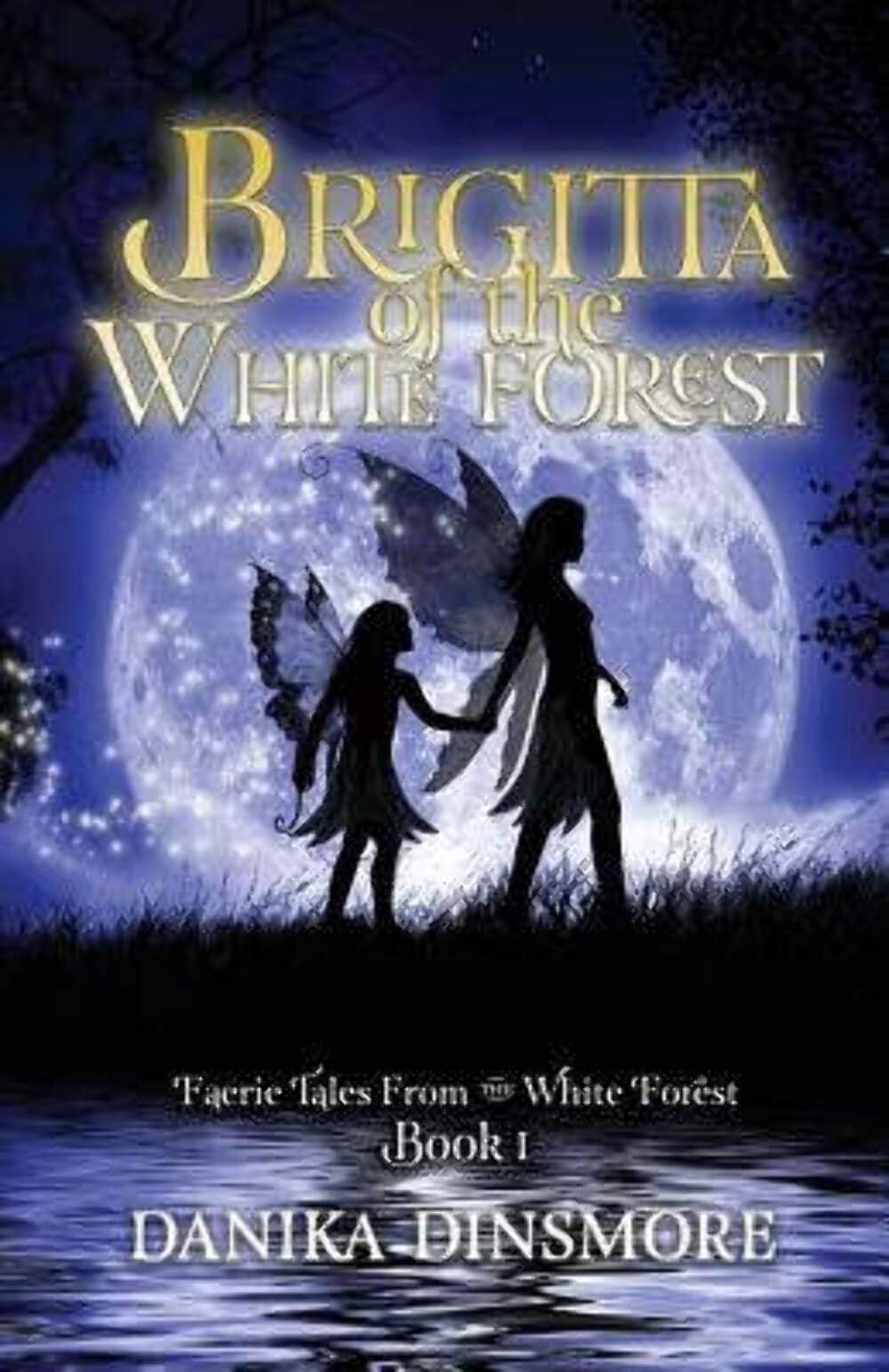 Brigitta of the White Forest: Faerie Tales from the White Forest Book One: Volume 1