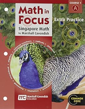 Paperback Math in Focus: Singapore Math Extra Practice Book Grade 6 Book