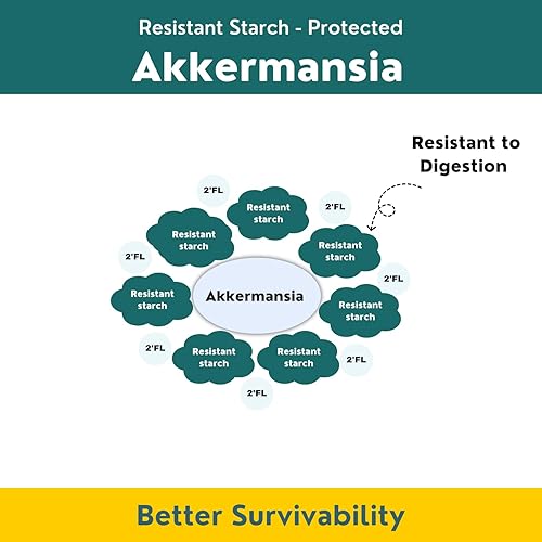 Miniatura 4 de Layer Origin Akkermansia Muciniphila Probiótico con PureHMO Oligosacáridos de leche humana prebiótico para GLP, metabolismo, 60 cápsulas, suministro