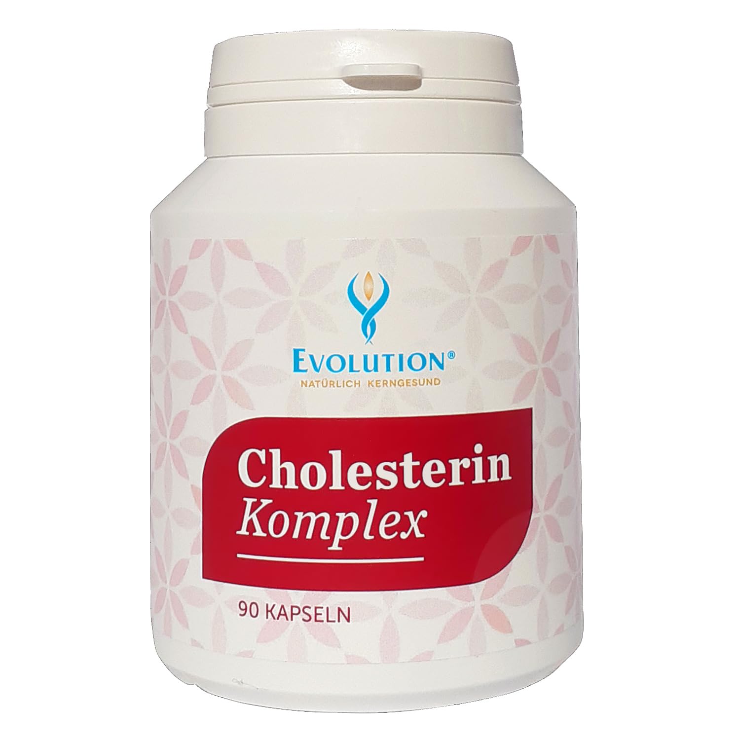Evolution Cholesterin Komplex Kapseln 90St.