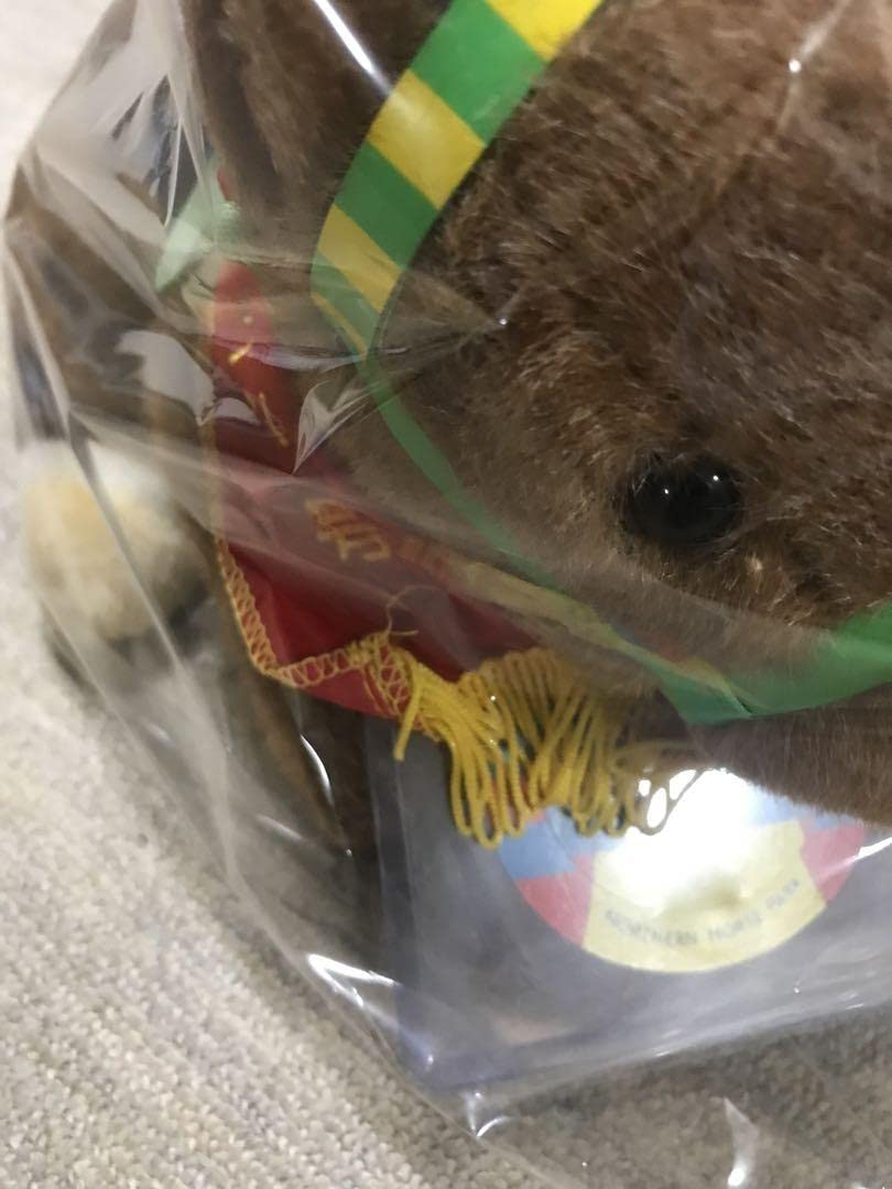 競馬ぬいぐるみ　皐月賞　アグネスタキオンAVANTI Amazon.co.jp: 競馬 競走馬ぬいぐるみ アグネスタキオン 皐月賞