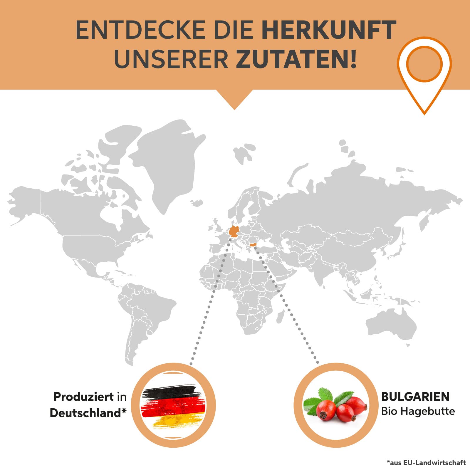 Bio Hagebutten Kapseln 1000 Stück | Hochdosiert 3000mg Tagesdosis | EU-Anbau in Premium Rohkost-Qualität Vegan | 100% rein ohne Zusätze (DE-ÖKO-007)