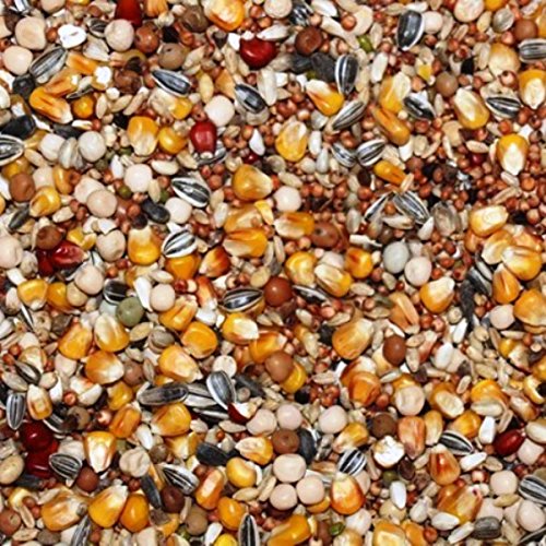 Kampol 25kg Taubenfutter EK Ökonomische Mischung 4-Saisons ohne Weizen Cover