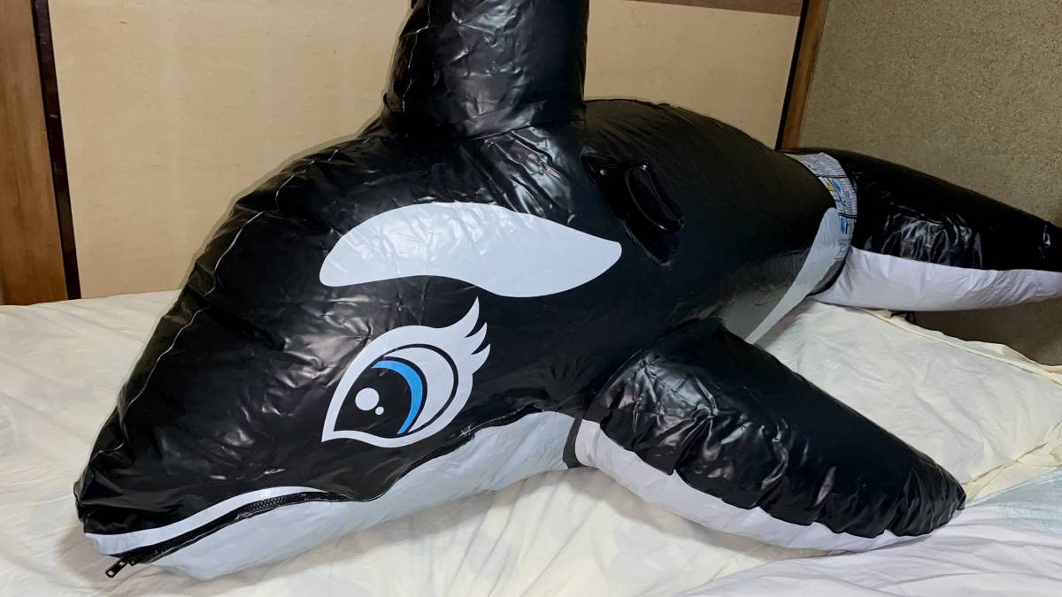 ダブルレイヤードシャチフロート