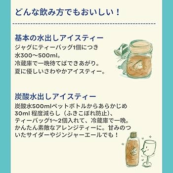 専用☆カレルチャペック紅茶店☆グリーングッディー☆水出し☆１５袋☆ 2025年水出し コンプリートセット | カレルチャペック紅茶店