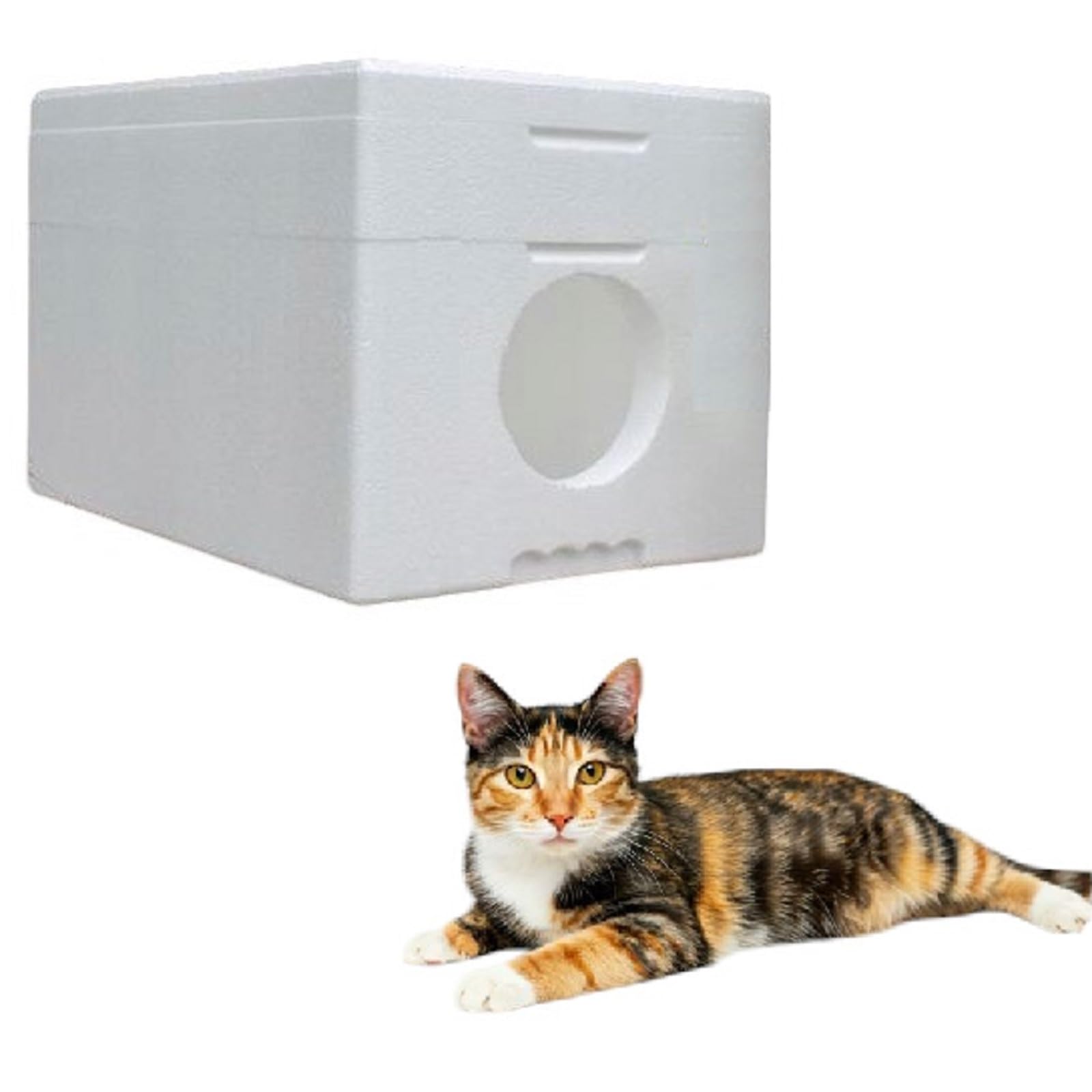 QLS Niche pour chat en polystyrène résistante aux intempéries - 58 x 38 cm - Abri isolé pour l'extérieur