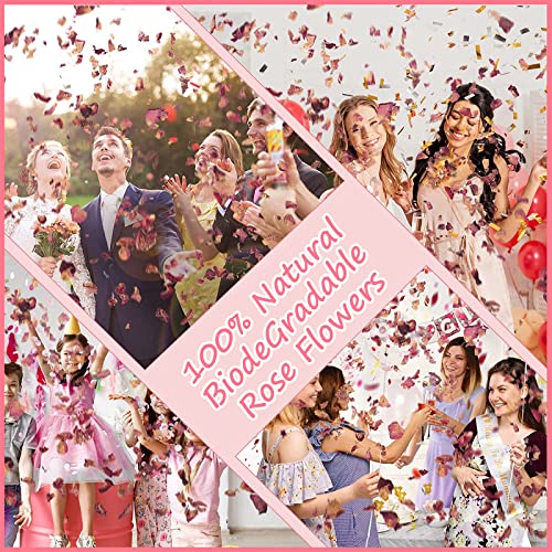 FINEVERNEK 1 Liter Natürliches Hochzeitskonfetti, Biologisch Abbaubare Getrocknete Blütenblätter, Rosenblüten Konfetti, Blüten Hochzeit Werfen Blumenkonffetti für Hochzeiten, Hochzeitsparty Dekoration