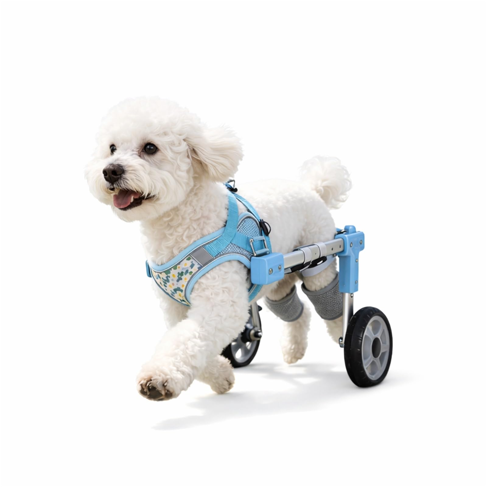 CASOME Adjustable 4-Wheel Dog Wheelchair For Front & Hind Legs – Lightweight Mobility Aid For Elderly Dogs – EVA Wheels For Comfortable Mobility & Easy Adaptation – Fits Small Breeds(Blue2wheel,L)