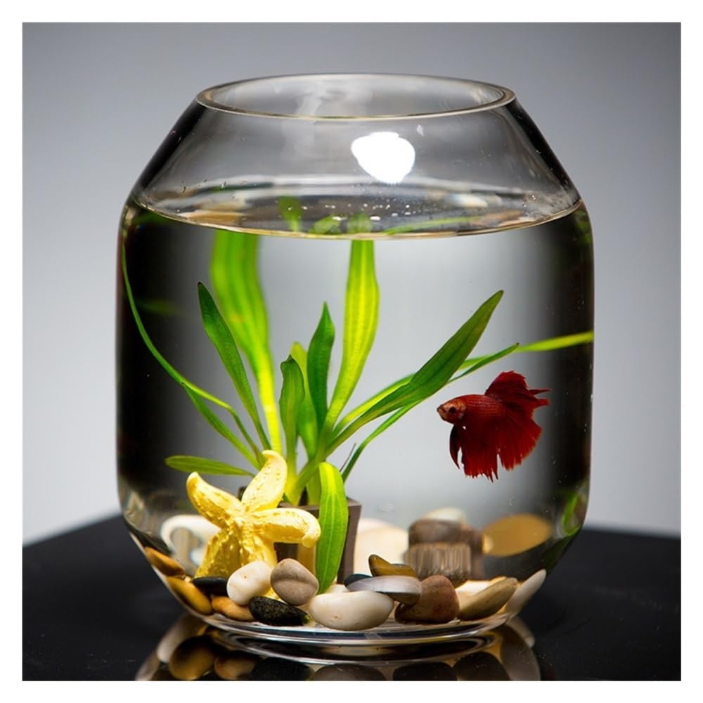 Aquarium Transparentes Glas-Aquarium, kleines Zuchtbecken, dekoratives Mini-Aquarium for Wohnzimmer, Schreibtisch oder Wohnzimmer