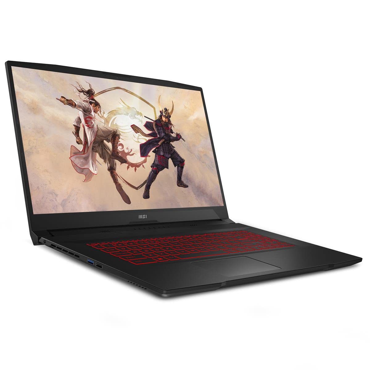 Amazon.com: msi Katana GF76 17.3