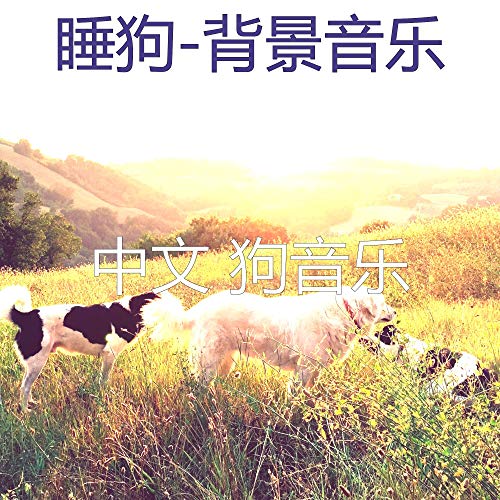 Amazon Musicで中文 狗音乐の睡狗-背景音乐を再生する