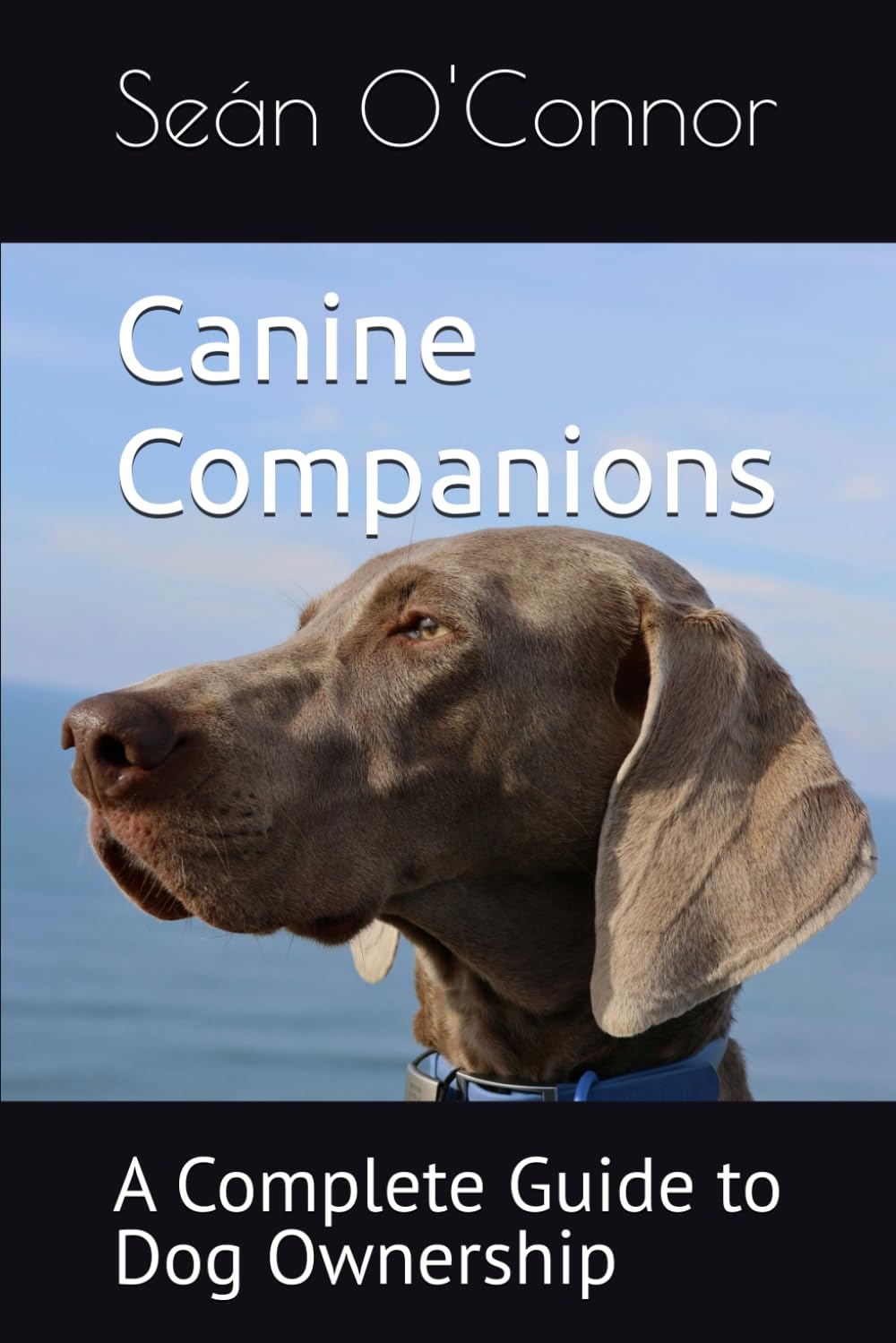 Canine Companions: A Complete Guide to Dog Ownership