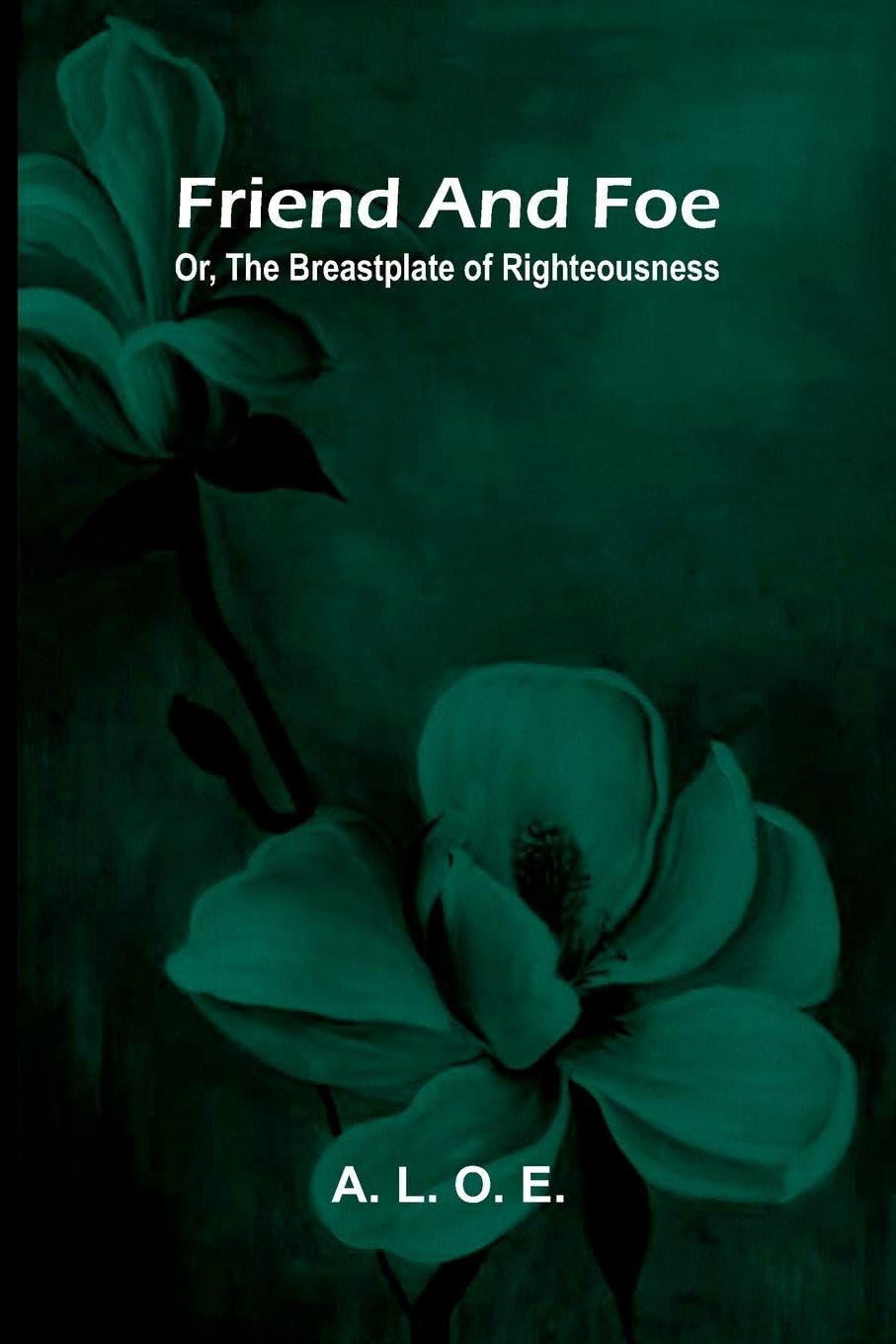The Portrait of a Lady ― Volume 2 (Edition2): Or, the breastplate of righteousness