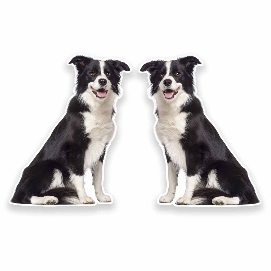 Destinationvinyl 2 X 15Cm/150Mm Border Collie Window Cling Sticker Car Van Campervan Glass #9637
