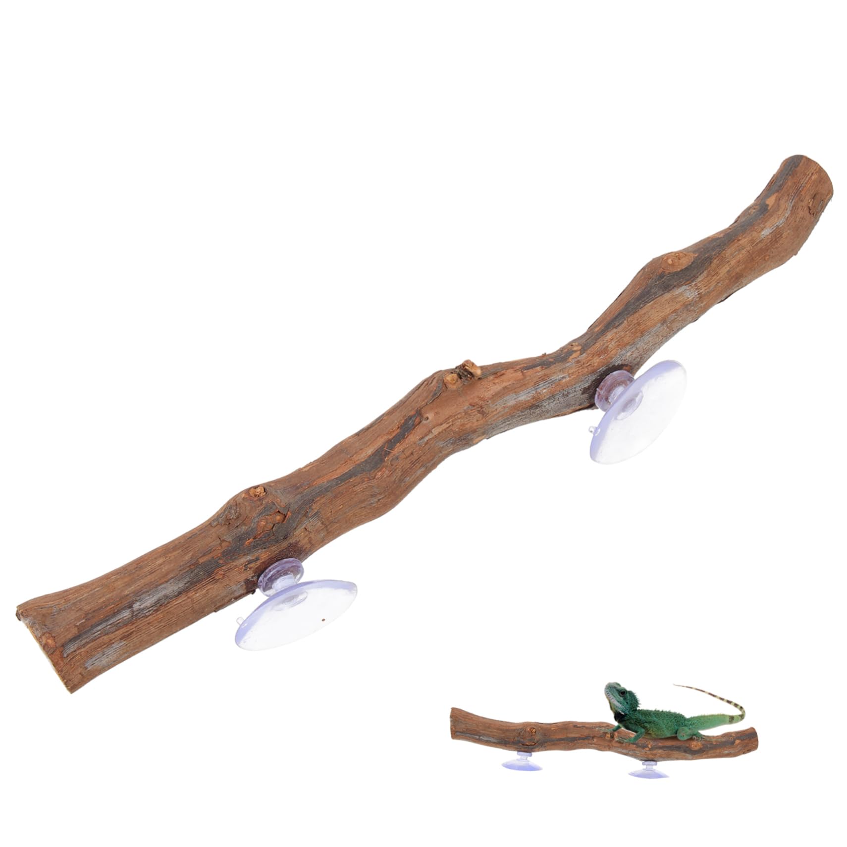 BESPORTBLE Accessorio per Rettili in Legno Superficie Liscia e Bordi Arrotondati, Supporto per Arrampicata e Gioco per Lucertole e Draghi Barbuti per Terrari Domestici