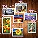 100pcs Mini Pinzas de Madera Pequeñas con Corazón 3.5cm Adorno de Fotos...