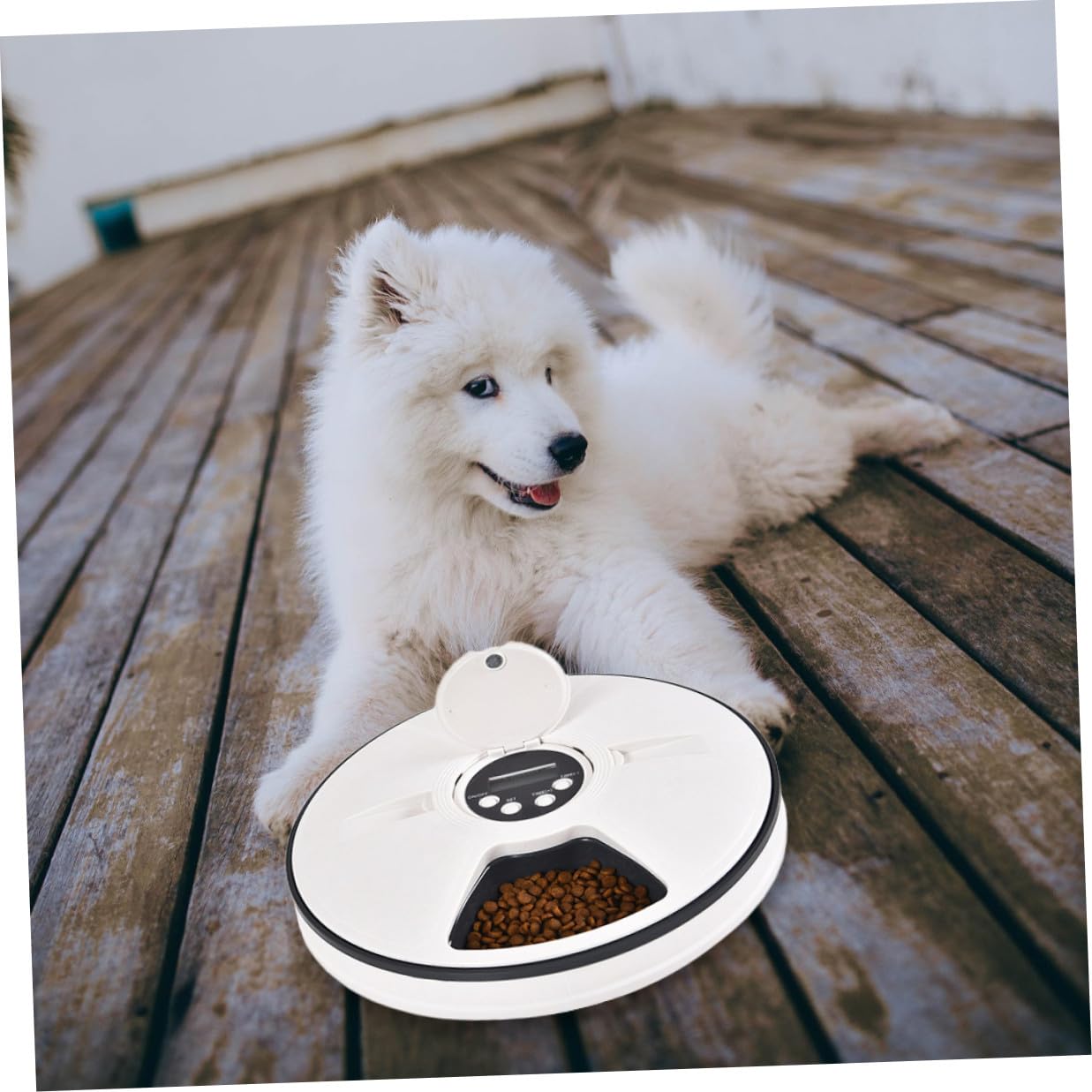 Comedero Automático para Mascotas Temporizador 6 Comidas | Capacidad 90g, Acabado Negro Abs, Base Antideslizante y Diseño Desmontable, Cabe en Esquina