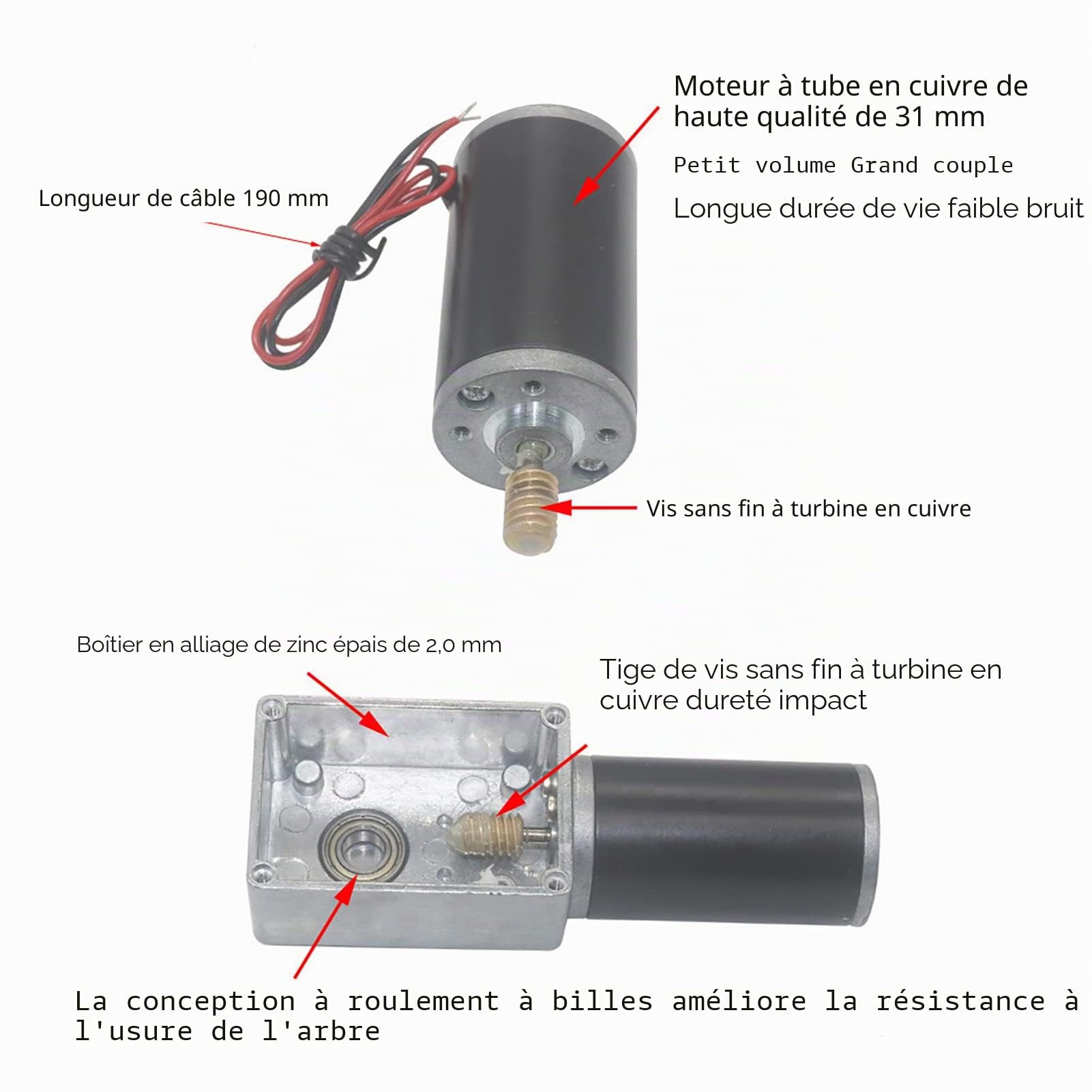 Motoriduttore DC 12V 12RPM Vite Senza Fine Albero 8mm per Robotica e Sistemi di Movimento Precisione