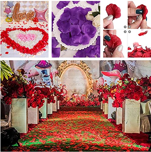 RuiChy 1000 petali di rosa in seta artificiale