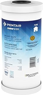 Pentair OMNIFilter TO8 Carbon Water Filter, 10" Heavy Duty Whole House Granular Carbon Taste & Odor Replacement Filter Cartridge, 10" x 4.5", 25 Micron