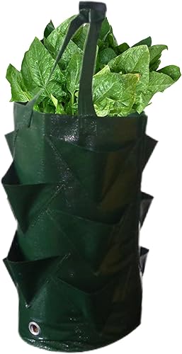 Bolsa de cultivo, bolsa colgante de 3 galones con asas, múltiples agujeros de plantación de fresas, bolsas de cultivo plegables y duraderas para
