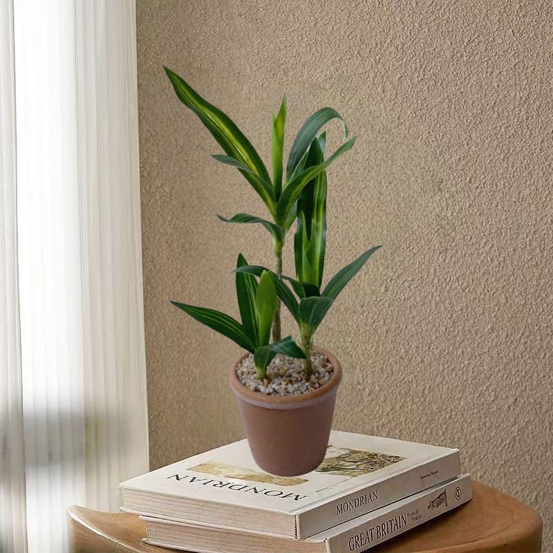 Amazon.com: XIZHI 11.8 Inch Artificial Lucky Bamboo Plants Fake Green  Artificial Bamboos Plant Potted for Home Office Indoor Centerpiece Table  Farmhouse Wedding Decor : Home & Kitchen