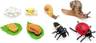 JZK 2 Sets of Life cycle stages figures of ladybug and snail, ladybug life cycle, snail life cycle models, insect life cycle, ladybird life cycle, animal life cycle toys, early educational toys