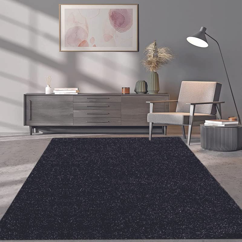 Dealx XoneExtra Thick Pile Fluffy Shaggy Rug Super Soft Modern Rugs, Living Room Large Area Rugs for Bedroom Non-Shedding Carpet Mat (Anthracite, 160X230 CM)