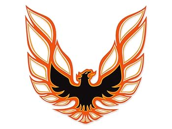 【24時間＆匿名配送】デイガファイアー・バード 24時間＆匿名配送】デイガファイアー・バード