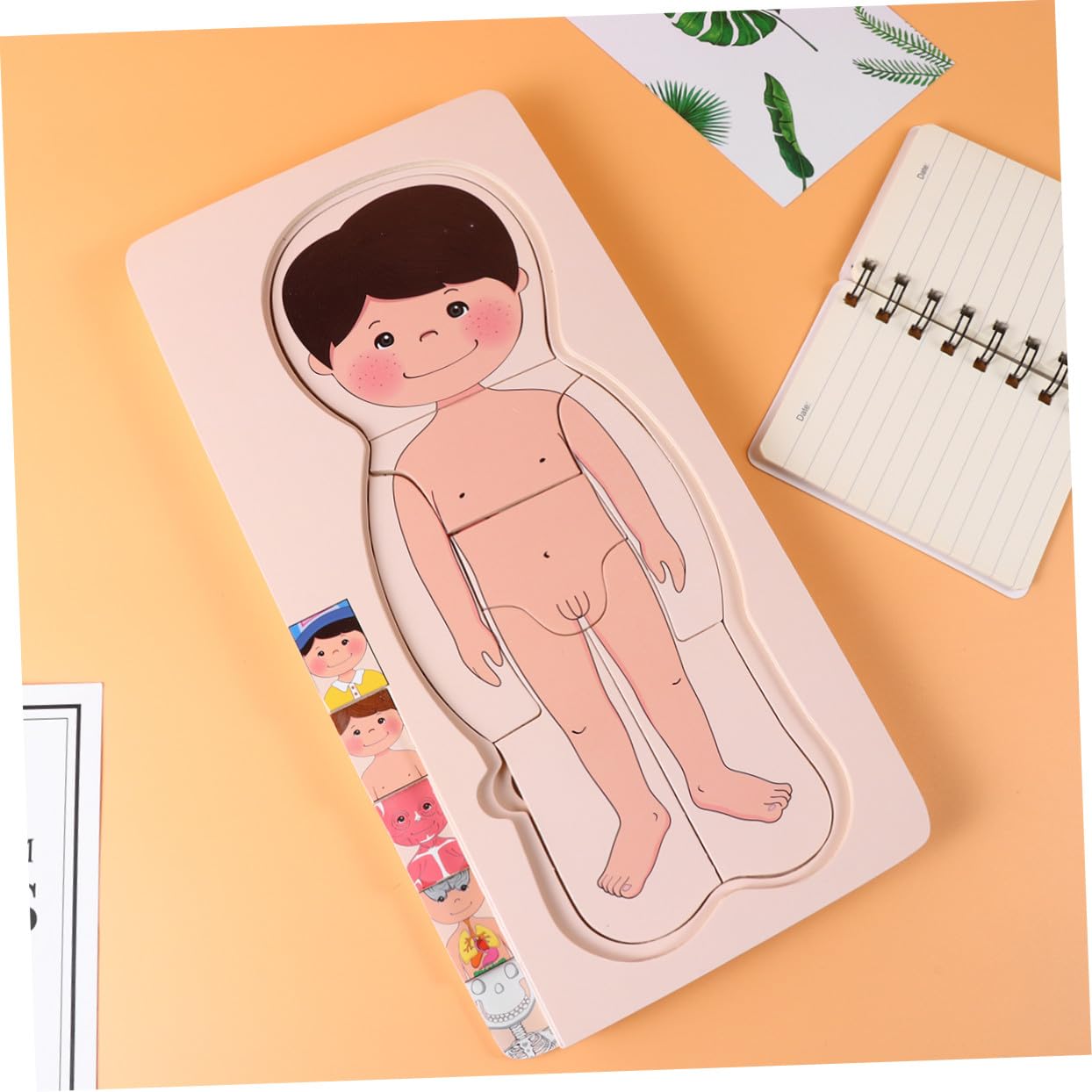 Puzzle in Legno Multistrato, Giocattolo Educativo per Bambini