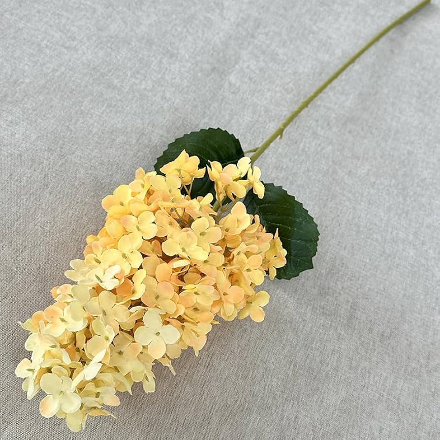 菜の花ページ Amazon｜Namzi 円錐形のアジサイ低木、春の花、緑の植物、家の
